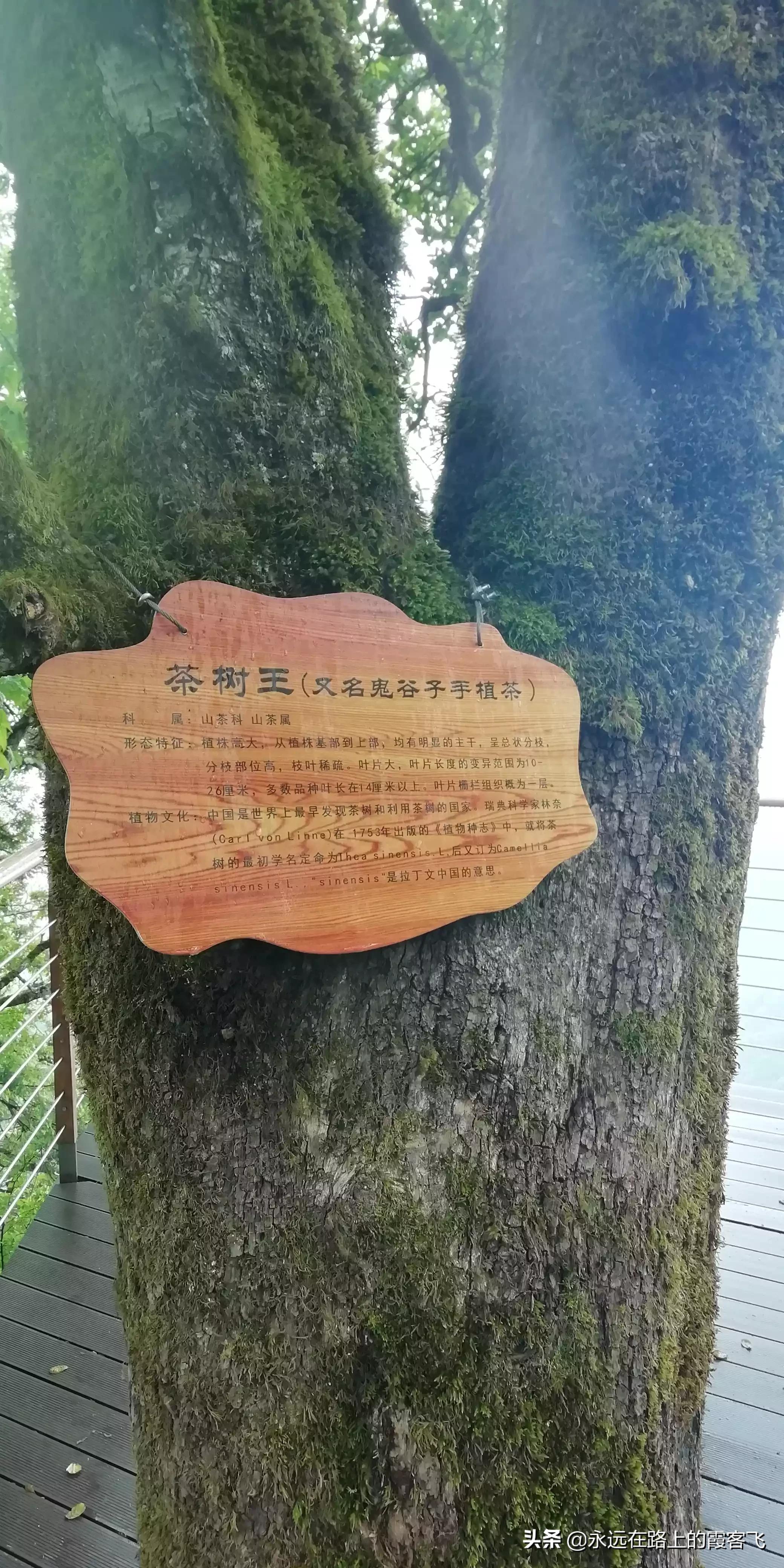 服务项目 第190页