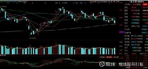 沧州大华股票行情揭秘，小巷深处的投资机会？