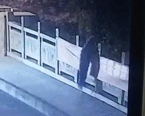 山东省最新消息,山东省最新消息,科技领跑时代,高科技产品重塑生活