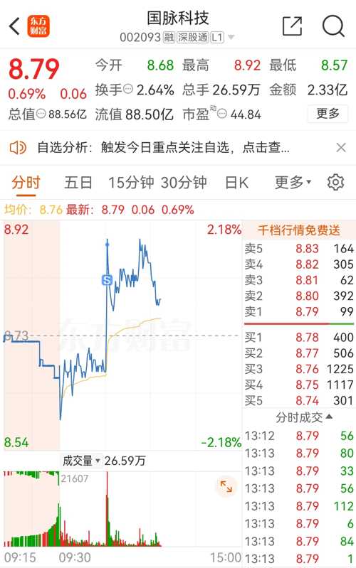 国脉科技股票，小巷中的隐藏宝藏与特色小店的无限魅力探索