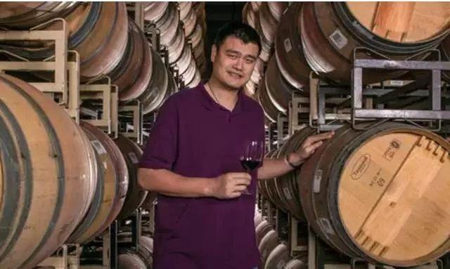 酒庄上市,酒庄上市,时代的繁荣与行业的崛起