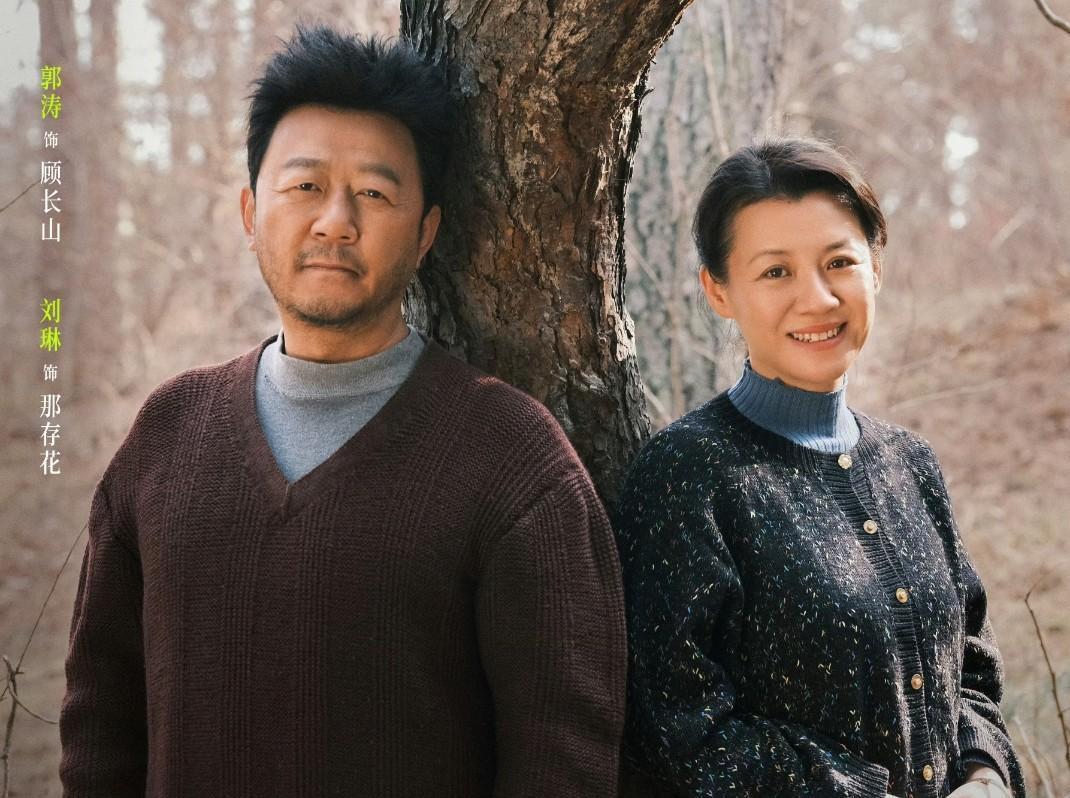 巷弄深处的影视宝藏，最新电视剧排行榜一览