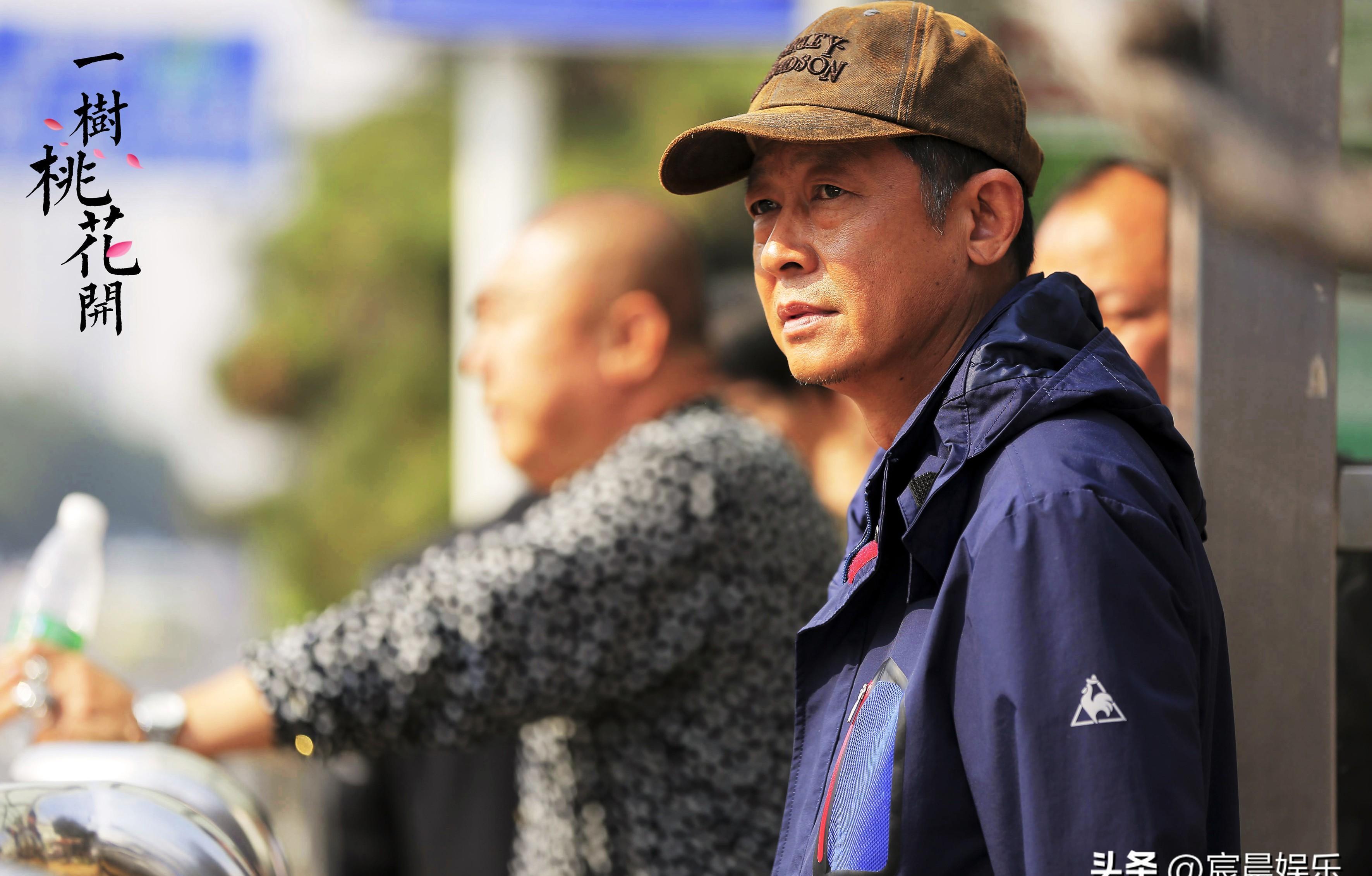 巷弄深处的影视宝藏,最新电视剧排行榜一览