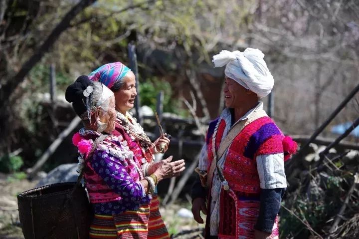 部落族群最新,部落族群最新,学习、变化与自信的旅程