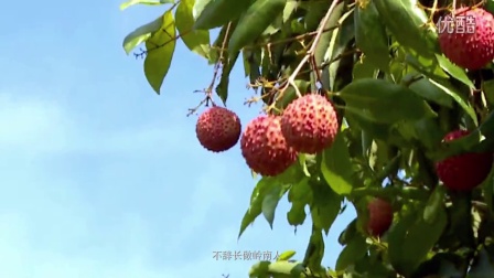 成武新鲜资讯,成武新鲜资讯,跃动知识海洋,自信成就未来