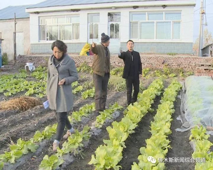 成武新鲜资讯,成武新鲜资讯,跃动知识海洋,自信成就未来