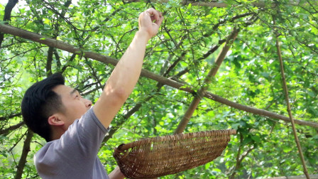 成武新鲜资讯,成武新鲜资讯,跃动知识海洋,自信成就未来