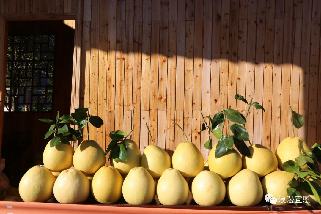 宣恩贡水龙城引领科技潮流，重塑生活体验的最新动态