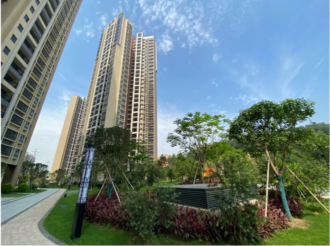 最新花都房价动态,机遇与自我成长的房价之旅