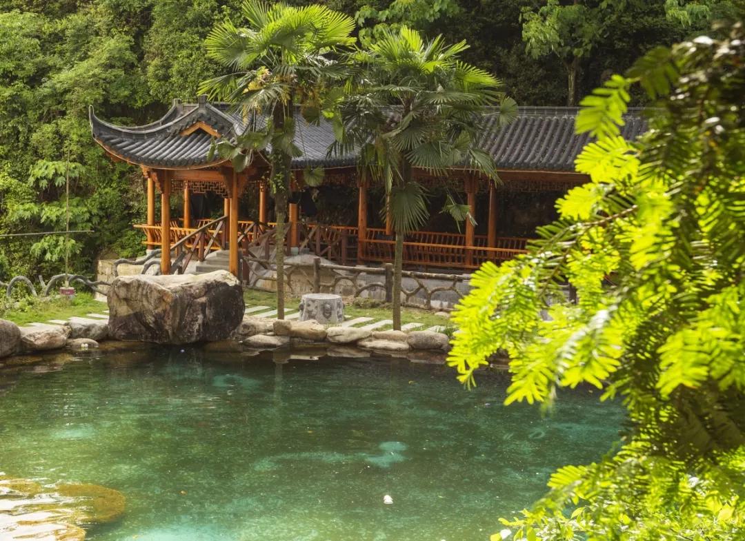 浙江最新资讯更新速递