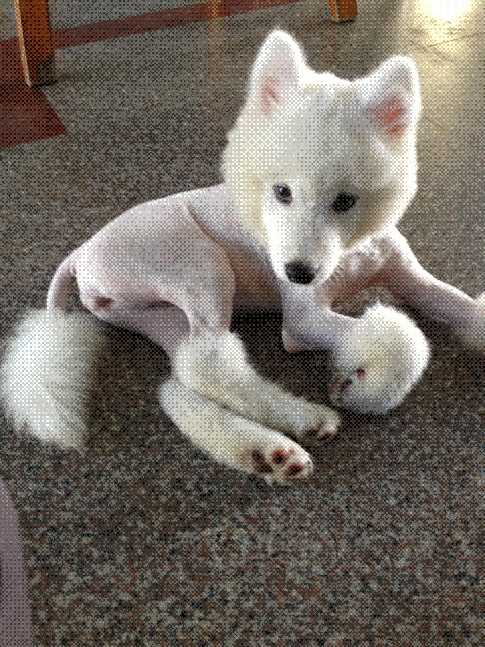 电视剧只有你，小巷中的隐秘美食之爱