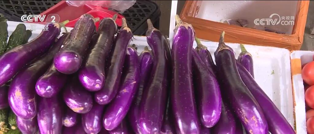 茄子价格最新行情动态与趋势分析🍆📊