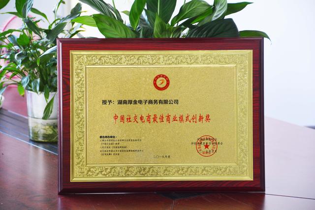 香港最新正版挂牌消息，城市繁华中的新篇章