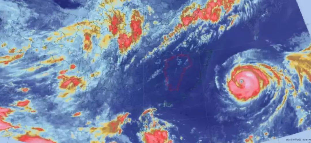 今年第8号台风最新动态及步骤指南解析