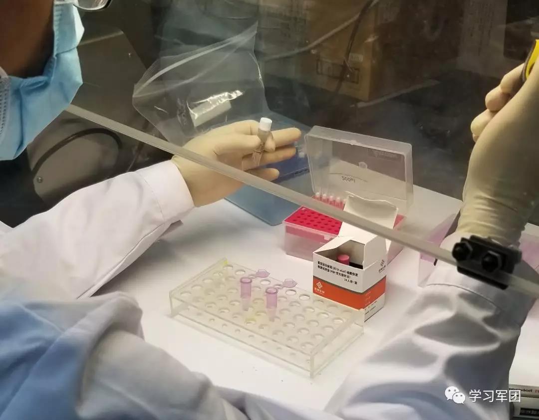 最新冠状病毒变异,最新冠状病毒变异,全面步骤指南