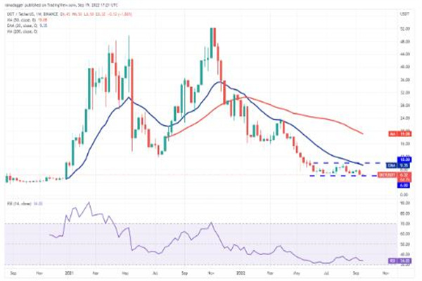 卡波币行情,数字黄金的崛起及其影响分析
