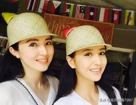 星光下的双生花，明星与双胞胎的故事