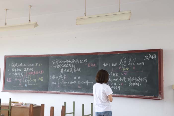 板书设计比赛，自然美景与心灵对话之旅，探寻内心平静的力量