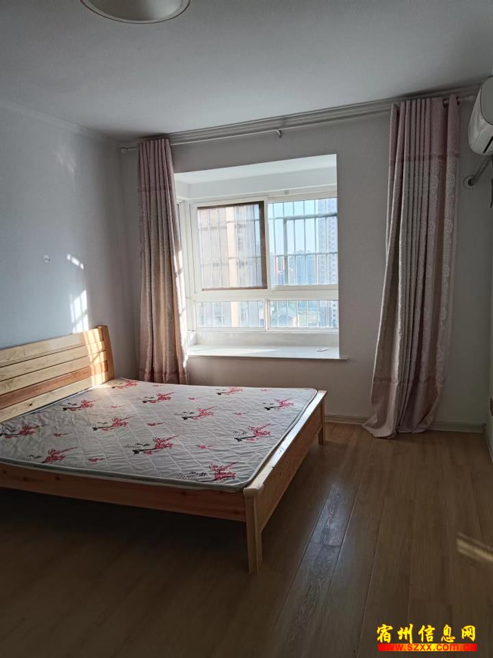 阜阳最新房屋出租信息及小巷特色小店探索指南