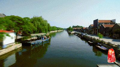 微山湖动态,自然生态与人文景观的和谐交融之美