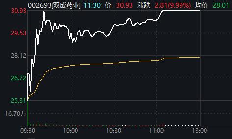 双成药业股票长期持有价值探讨，智慧投资之路的自信与成就之光探索。