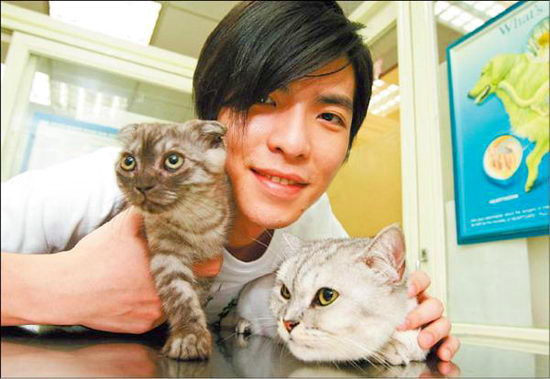 明星与猫,明星与猫,温馨的日常故事