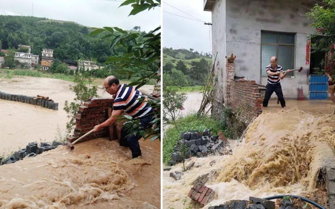 泡面时代崛起与影响回顾,最新泡面资讯汇总