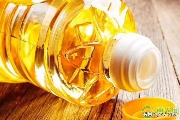 菜粕期货实时行情深度解析,市场风云的微观视角