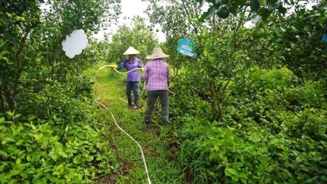 生态何时上市,生态何时上市？励志之路，成就未来！