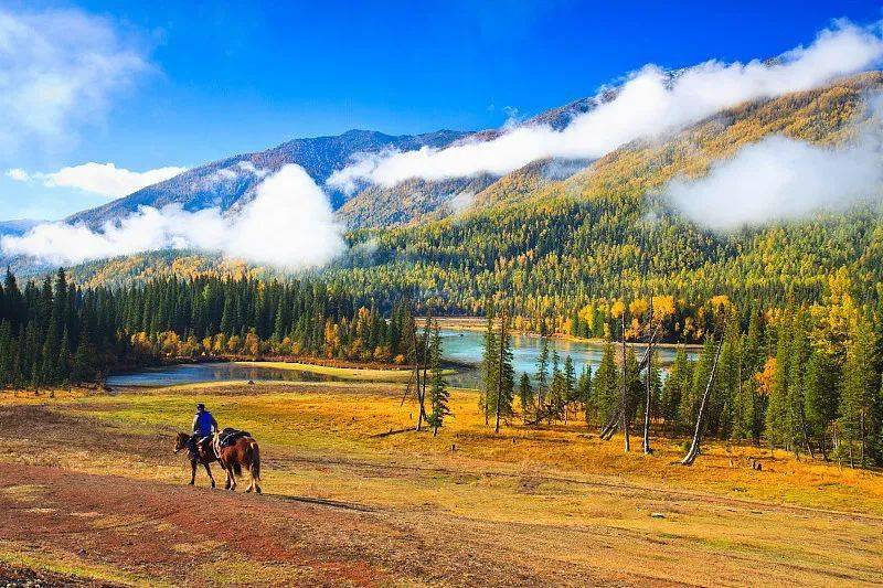 喀纳斯禾木最新动态,学习变化,自信成长,共创美好未来