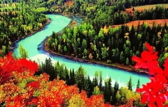 喀纳斯禾木最新动态,学习变化,自信成长,共创美好未来