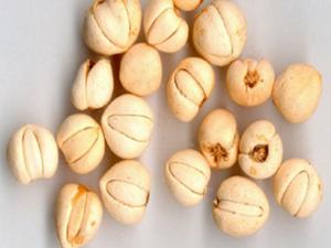 服务案例 第165页