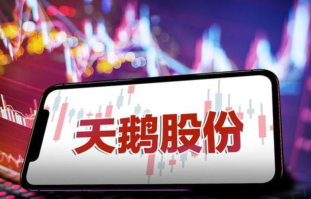 科技引领投资新时代,股票鹅的智能体验重塑股市世界