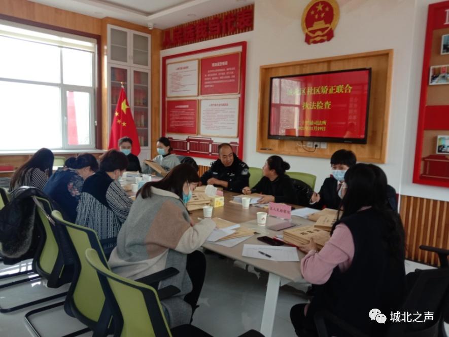 执法细则执行情况及详细步骤指南概览