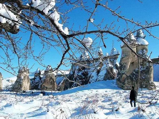 土耳其最新电影,观看与探索的步骤指南