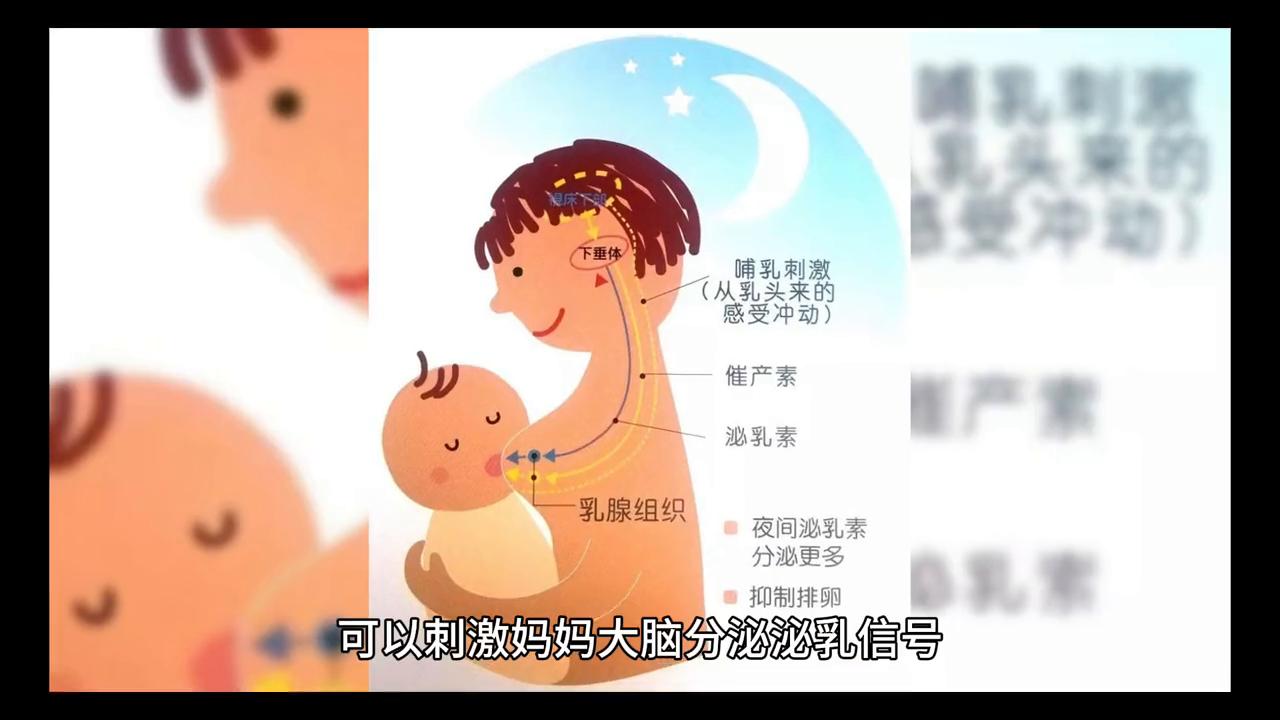 最新哺乳育儿指南,自信、成就与正能量同行之路