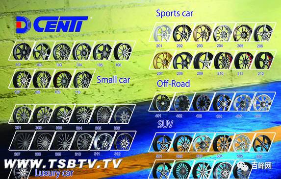 迪生力公司股票上市，与自然美景的约定之旅