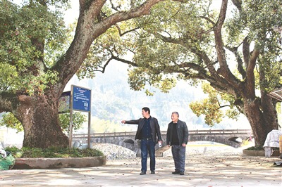 服务案例 第163页