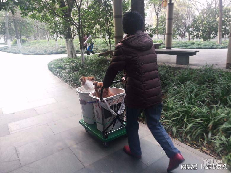 小草论坛新网址,一路变迁,助力学习成就自信与梦想之路