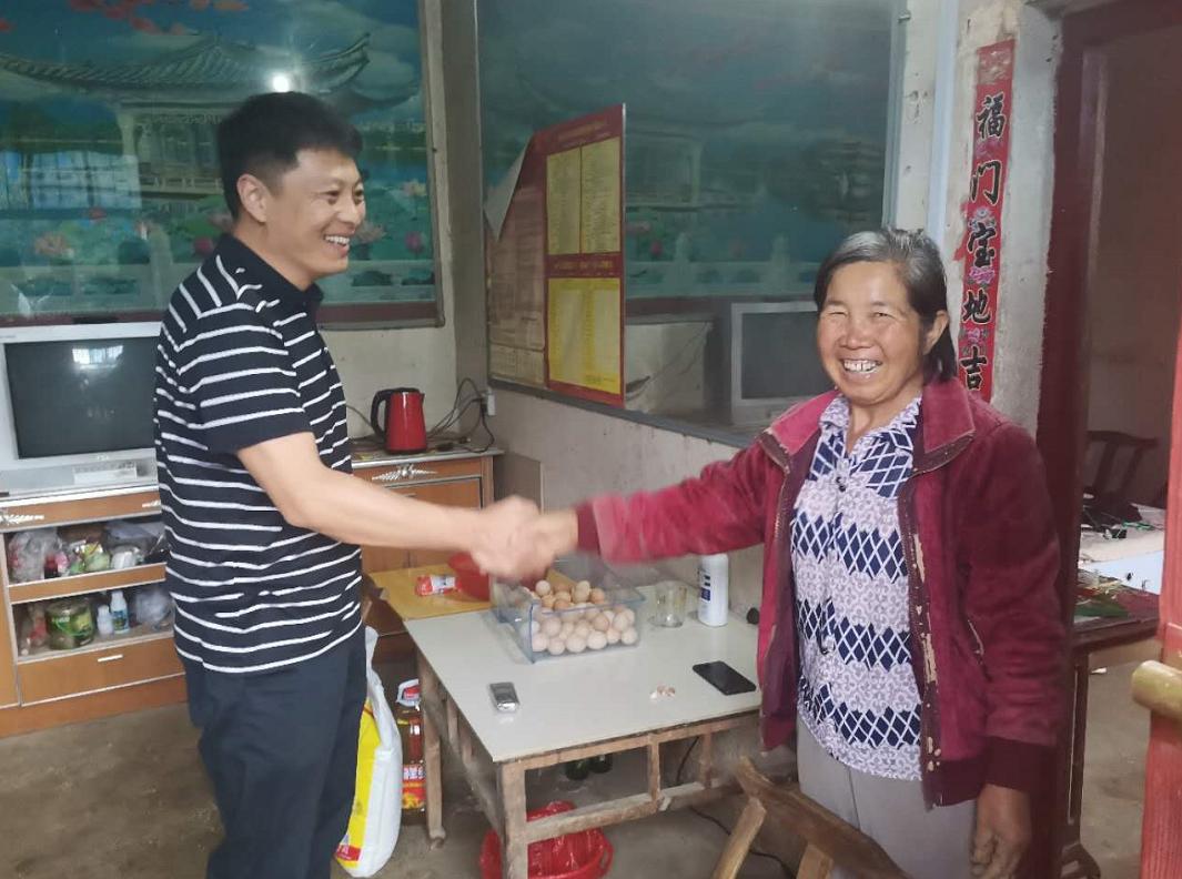 夏枯草的价格与友情故事，探寻背后的情感与价值