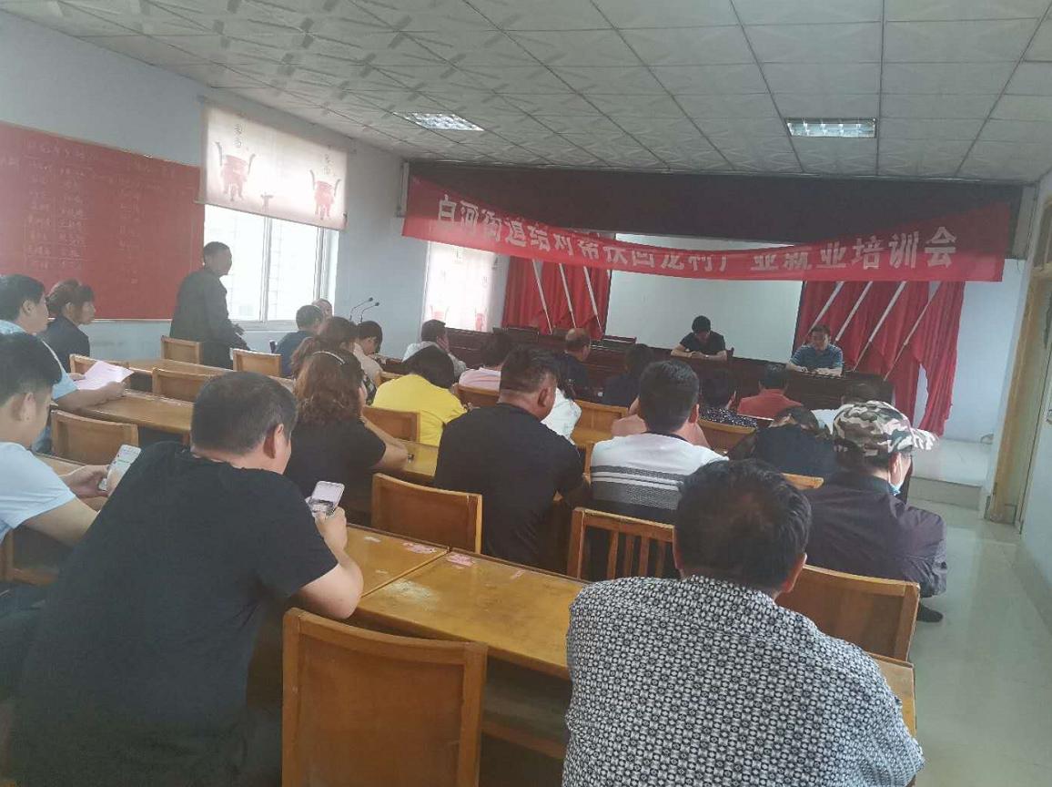 夏枯草的价格与友情故事,探寻背后的情感与价值