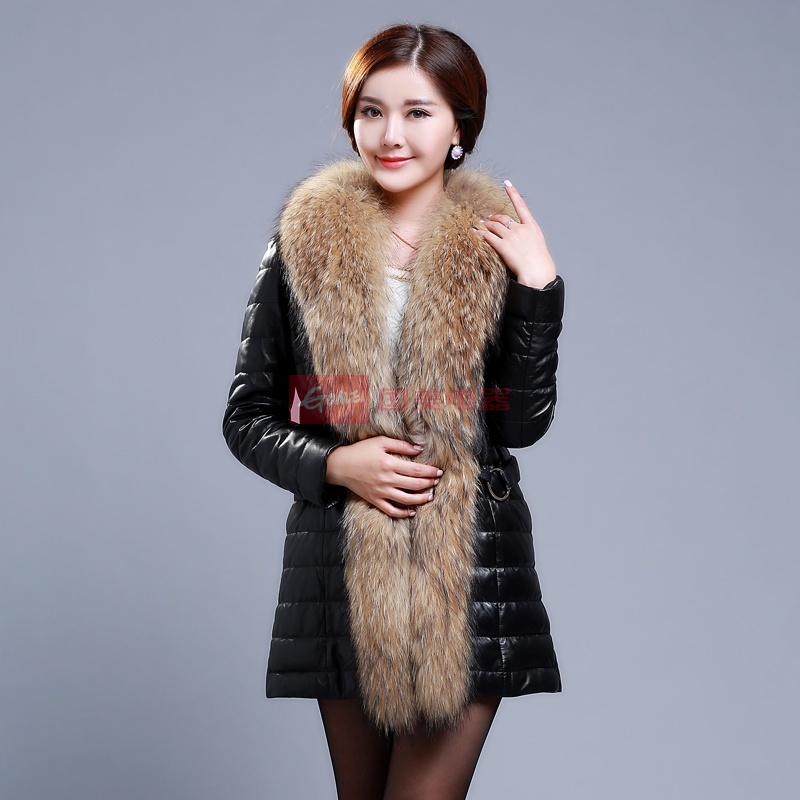 貉子皮最新价格2013,时尚界的焦点,你必须了解!