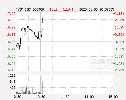 宁波高发股票，投资热点深度解析