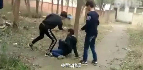 最新暴力事件报道，力量在变化，学习与自信铸就胜利之路