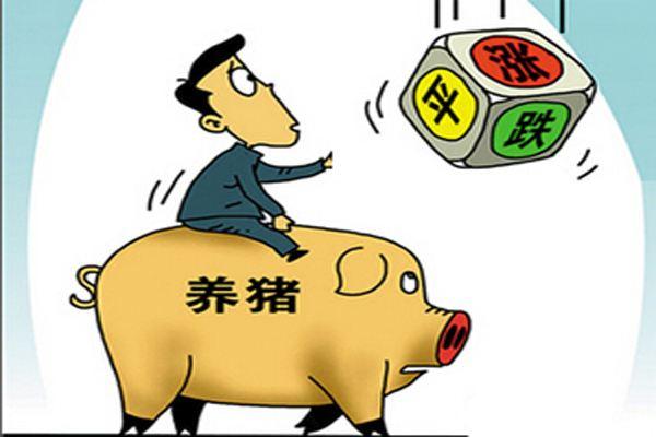 最新猪价预测,最新猪价预测,洞悉未来走势!🐖📈