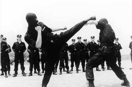 传奇崛起，头号特卫的最新篇章及其影响力