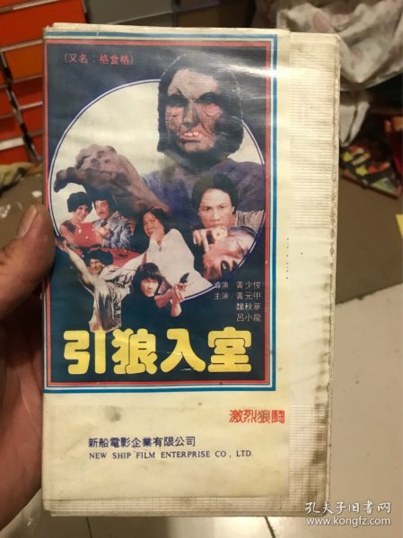 时代背景下的犯罪真相探寻，电影引狼入室