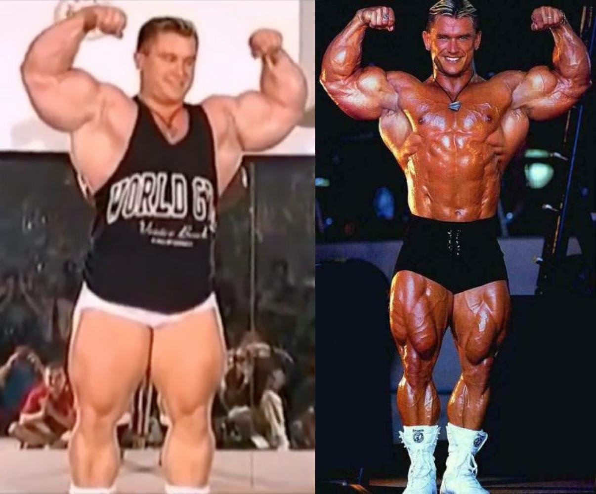 施瓦辛格健美比赛全程指南，从入门到进阶的参与教程