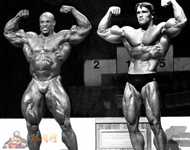 施瓦辛格健美比赛全程指南,从入门到进阶的参与教程