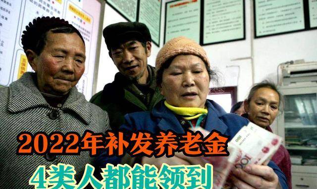 养老金补发最新动态，全面解读最新消息📣